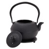 Juvale Cast Iron Teapot, Japanese Tetsubin Kettle Set with 2