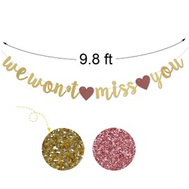 We Won't Miss You Gold Gliter Paper Banner, Pre-Strung Farewell/Goodbye/Job Changing/Bye Felicia Party Fun/Gag Decors