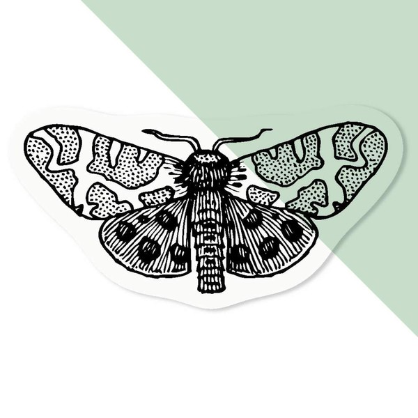 4 x Small 50mm 'Spotted Moth' Transparent/Clear Sticker Decals for