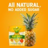 TropiSnack Simply Natural Dried Pineapple Tidbits No Added Sugar Gluten