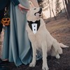 Dog Tuxedo,Formal Wedding Dog Bandana Adjustable Collar with Bowtie,Detachable Bow