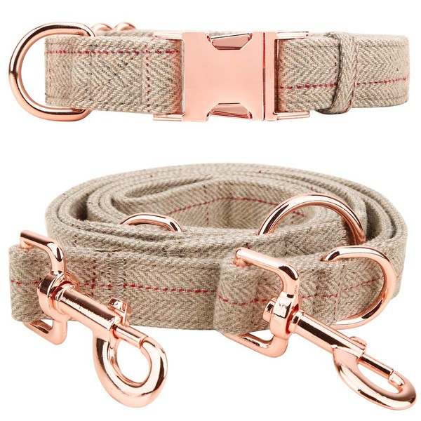 Medium-Large Big-Female Heavy-Duty Dog-Collar Leash-Set - Rose Gold 6 Foot