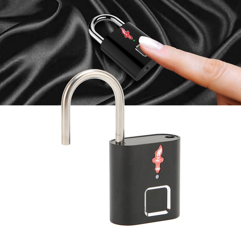 Fingerprint Padlock Biological Recognition Aluminium Alloy USB Rechargeable Support 10