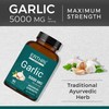 ERTHRI Odorless Garlic Fresh 750mg (90 Tablets), Herbal Supplement with
