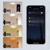 Smart Ceiling Light WiFi 25W Cold and Warm Light RGB