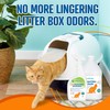 Cat Stain and Odor Remover | Enzyme Urine Odor Neutralizer