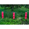 Hakubitin, Raccoon, Why Escape? Set of 10 Outdoors, Civicin, Raccoon,