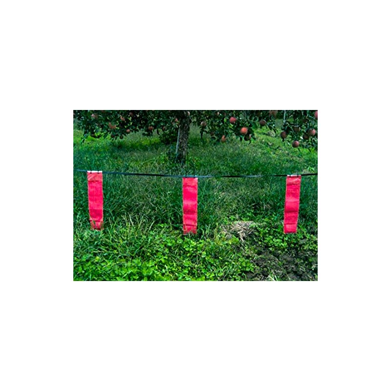 Hakubitin, Raccoon, Why Escape? Set of 10 Outdoors, Civicin, Raccoon,