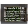 prefleur prefleur Preserved Reindeer Craft Moss Natural Green DIY Kit