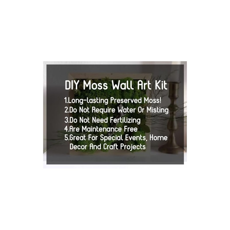 prefleur prefleur Preserved Reindeer Craft Moss Natural Green DIY Kit