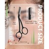 BALUCA Eyebrow Scissors with Comb | Professional Stainless Steel Eyebrow