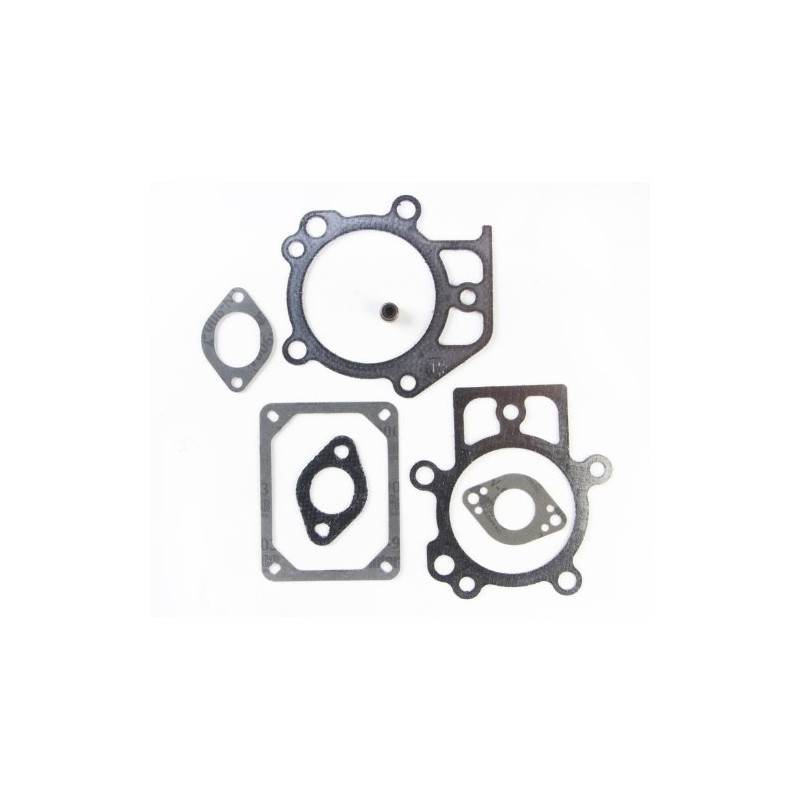 Briggs & Stratton 695440 Valve Gasket Set Replacement Part