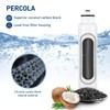 PERCOLA HX2017FR-A Water Filter, Compatible with Hisense® HX2017F-A, HRF266N6CSE1, HRF266N6CSE,