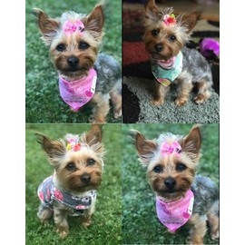 Masue Pets 50pcs in Pairs Dog Hair Bows with Rubber Bands Rhinestone Pearls Bows Bowknot Bows Dog Topknot Bows Cute Dog Hair