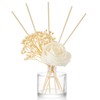 Daifunli 11 Pcs Flower Reed Diffuser Set Include Sola Flowers