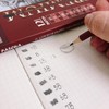 Juego de 12 Lápices de Grafito para Dibujo Artístico Profesional,