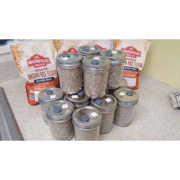 Brown Rice Flour&vermiculite Mushroom Substrate 12 Jars (1/2 Pint Jar)