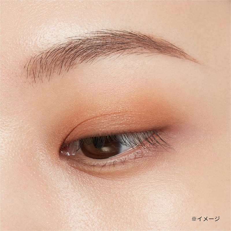 ettusais Eye Edition (Color Palette) 04 Orange Brown Eyeshadow, 0.1
