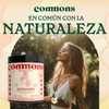 Commons Hongos Adaptógenos - Hongo de Baya Schisandra - Extracto