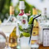 100 Bamboo Cocktail Sticks, Decorative Cactus Picks and Party Drinks,