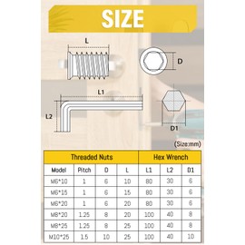 M6 X 10mm Threaded Insert Nuts 40Pcs, Caianwin Wood Insert Hex Socket Nuts Threaded Insert Flanged Hex Socket Nut Inserts for Wood Furniture