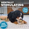 Outward Hound Hide-A-Squirrel Dog Toy – Interactive 2‑in‑1 Plush Puzzle