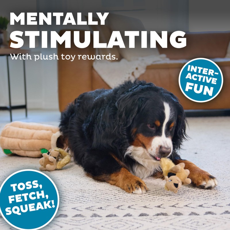 Outward Hound Hide-A-Squirrel Dog Toy – Interactive 2‑in‑1 Plush Puzzle