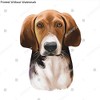 Trigg Hound Puppy isolated digital art illustration. Hand drawn dog