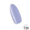 Color Gel Domestic Cosmetics Registered Gel Nail Sheer Color 0.2