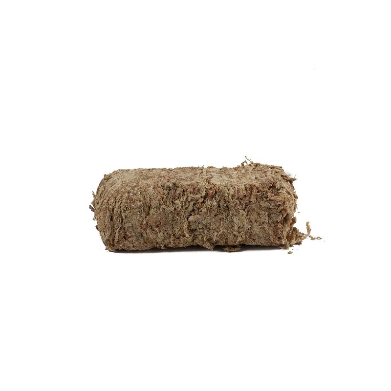 Sphagnum Moss for Terrarium and Orchids from Chile 150 g