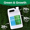 Maximum Green & Growth Fertilizer High Nitrogen 28-0-0 Lawn Food