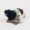 SPOT Bam-Bones Wishbone - Made with Strong Bamboo Fiber, Durable