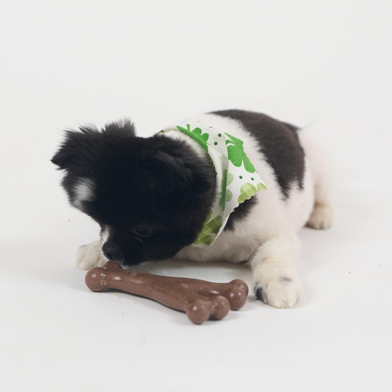 SPOT Bam-Bones Wishbone - Made with Strong Bamboo Fiber, Durable