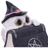 Nemesis Now Owl Magic 15cm Black
