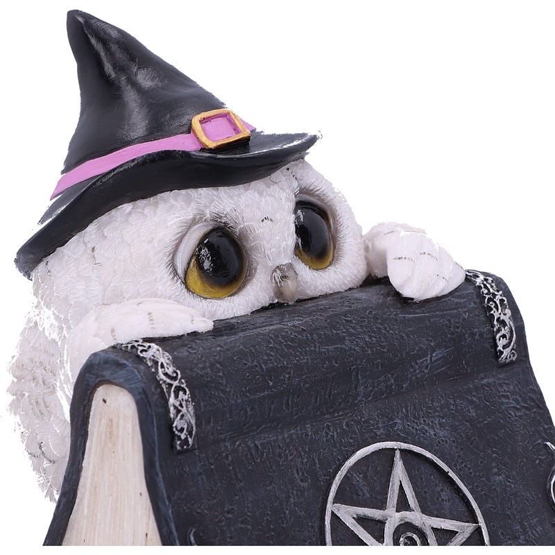 Nemesis Now Owl Magic 15cm Black