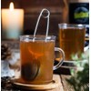 Biotiva Ginger Root Tea Organic 400g (2x200g) - Ginger Cut