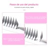 Extensiones Pestañas Pequeños Abanicos Fáciles De Florecer