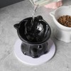 AIMALL Ergonomic Ceramic Cat Bowl - Elevated Cat and Dog
