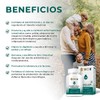 BIO B Probióticos 100 Billones UFC Prebióticos 30 Cáps