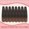 Goddess Box Braids Crochet Hair 8 Packs with Curly Ends