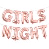 Girls Night Party Decoration Girls Just Wanna Fun Banner Mean