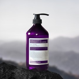 Bouquet Garninade NAD Extreme Damage Professional Shampoo 1,000ml / 나드 극손상 프로페셔널 샴푸 1,000ml