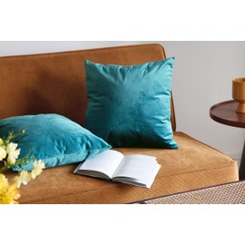 Pagnanno. Set of 2 Soft Velvet Cushion Covers 45x45cm(18x18 Inches) Plain Throw Pillowcases Square Cushion Covers for Chairs,living room,bedroom with Invisible Zipper ((Pack of 2), Turquoise)