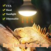 Pack of 2 Heat Lamp Turtles UVA UVB 100 Watt,