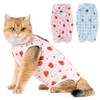 Avont Pack of 2 Cat Bodysuit After Surgery Recovery Suit
