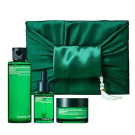 Pyunkang Yul Ultimate Line - Set de cuidado de la piel, cuidado calmante e hidratación, solución calmante, ampolla y crema, embalaje tradicional de es