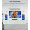 Karaoke Machine for Adults, Portable Bluetooth Speaker with 2 Wireless