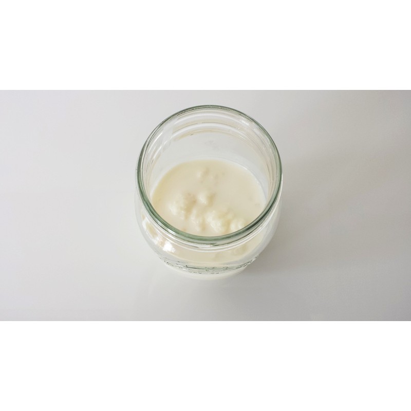Pro-U Kefir - Fresh Milk Kefir Grains (for Home-Made kefir)