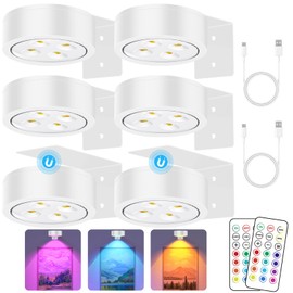 SIXDEFLY 13 RGB Color Changing Led Art Display Light for Picture Frame,Rechargeable Battery Operated Led Painting Light with Remote Control Dimmable & Timer,6Pack White