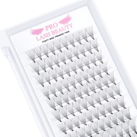 Ready-to-Use Eyelash Fans, 7D-D-0.07-11, Lace Base, Ready-to-Use Fan Eyelash Extensions, Pointy Base, 0.07 0.10, Eyelash Extension, C D Eyelash Volume Technology, 8-15 mm (7D-D-0.07, 11 mm)